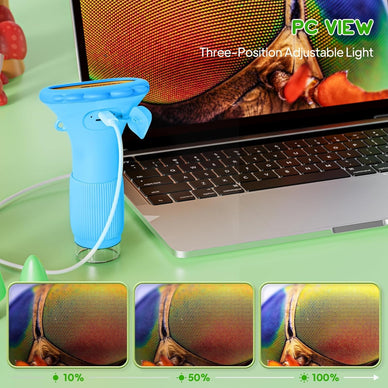 Ignite Young Curiosity Today