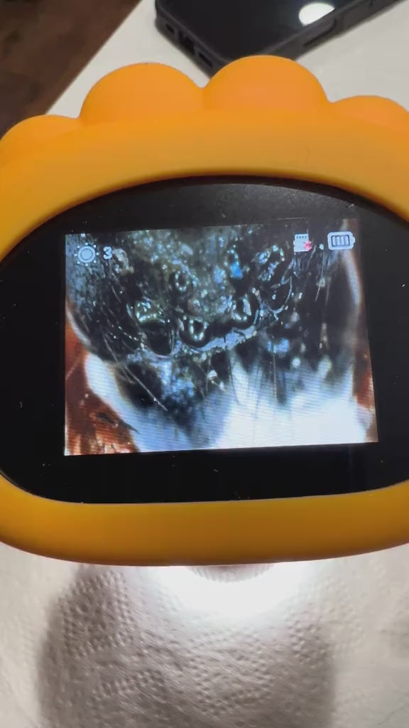 Portable Microscope for Kids video